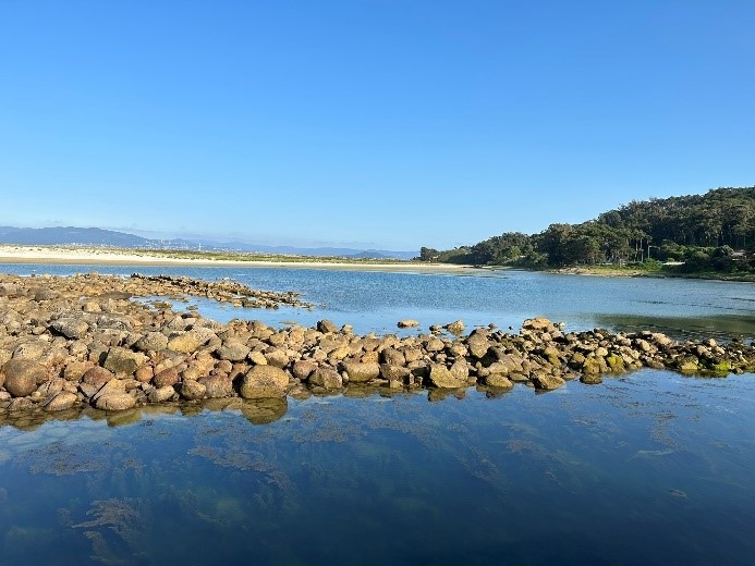 water and rocks